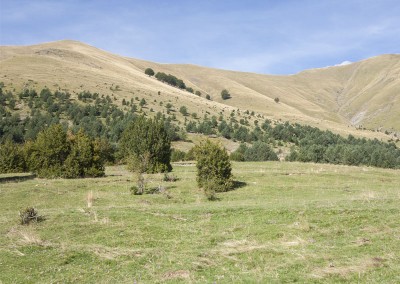 Prado